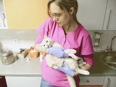 Gabinet Weterynaryjny Futrzak lek. wet. Magdalena Balbus